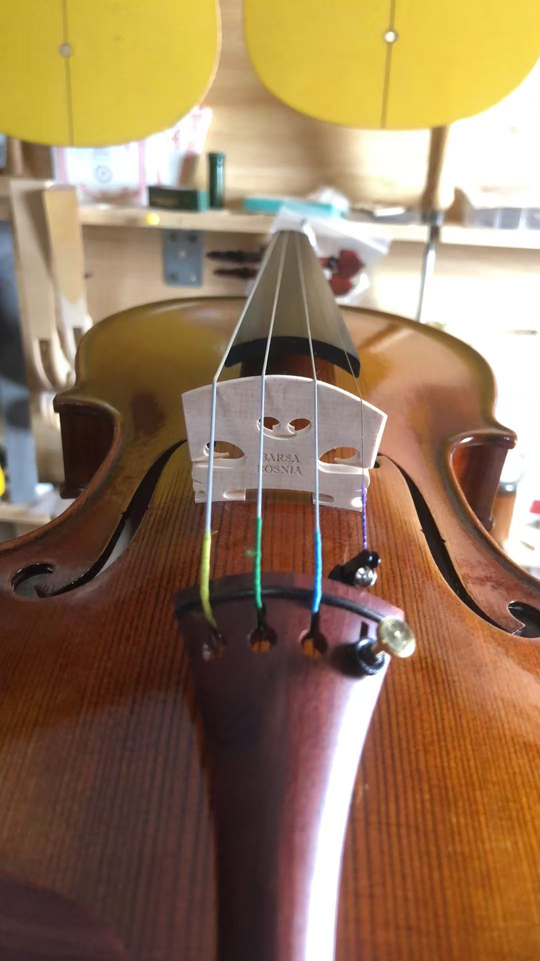 The HS-600 violin, the instrument you are about to hear