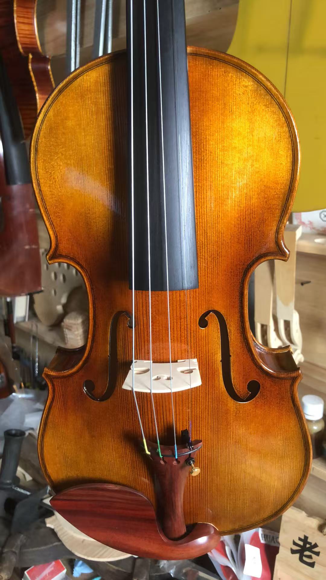 The HS-900 violin, the instrument you are about to hear